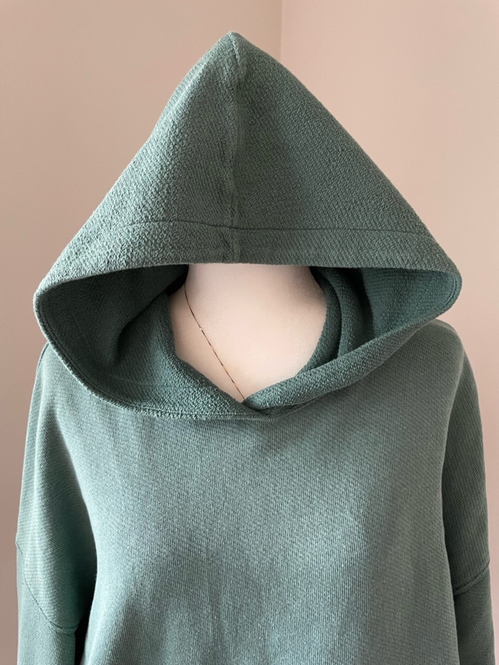 American Eagle Outfitters Oversized Hoodie